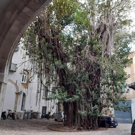 Mela Verde * Palermo